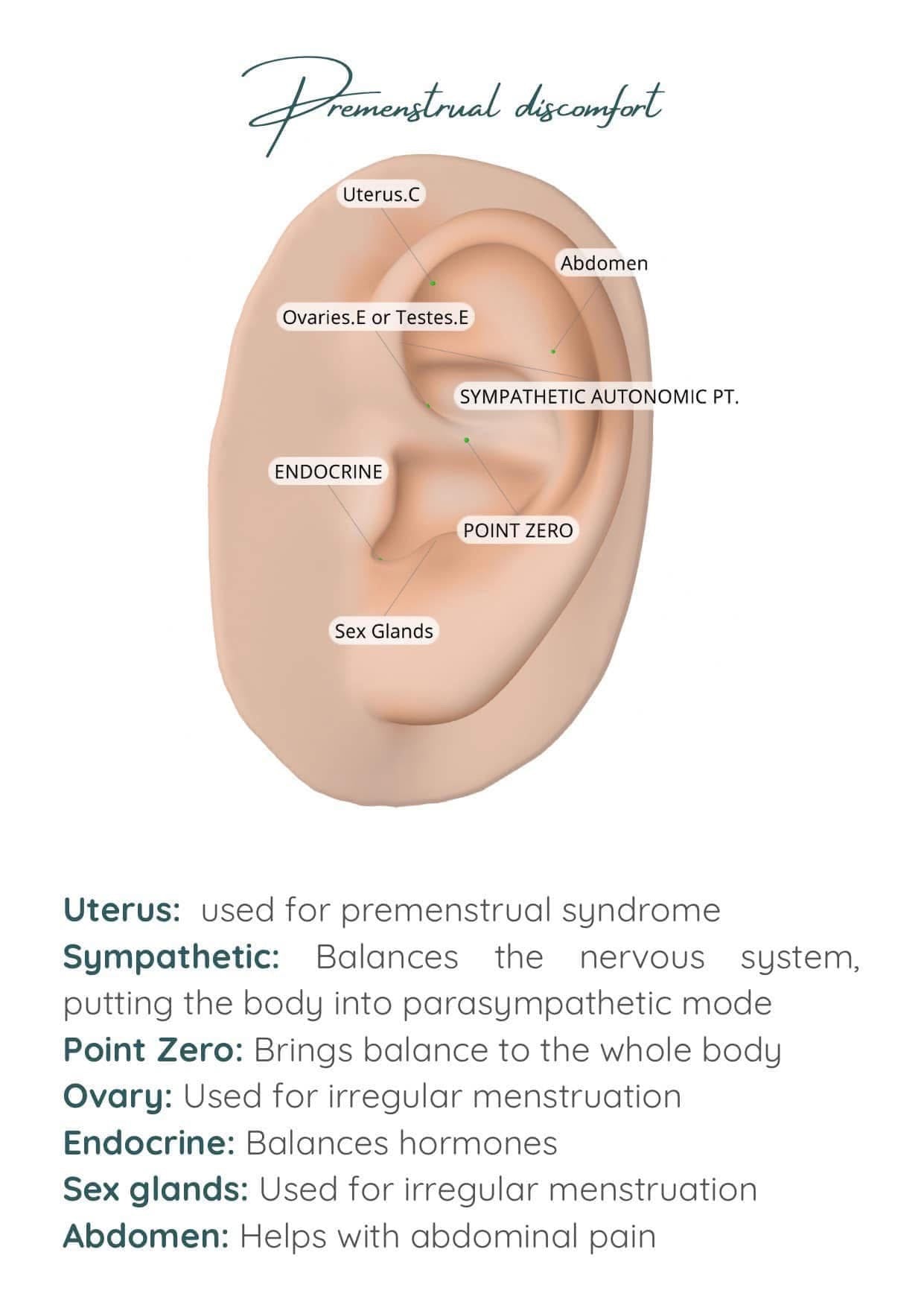 Chamilidots ear seed kits