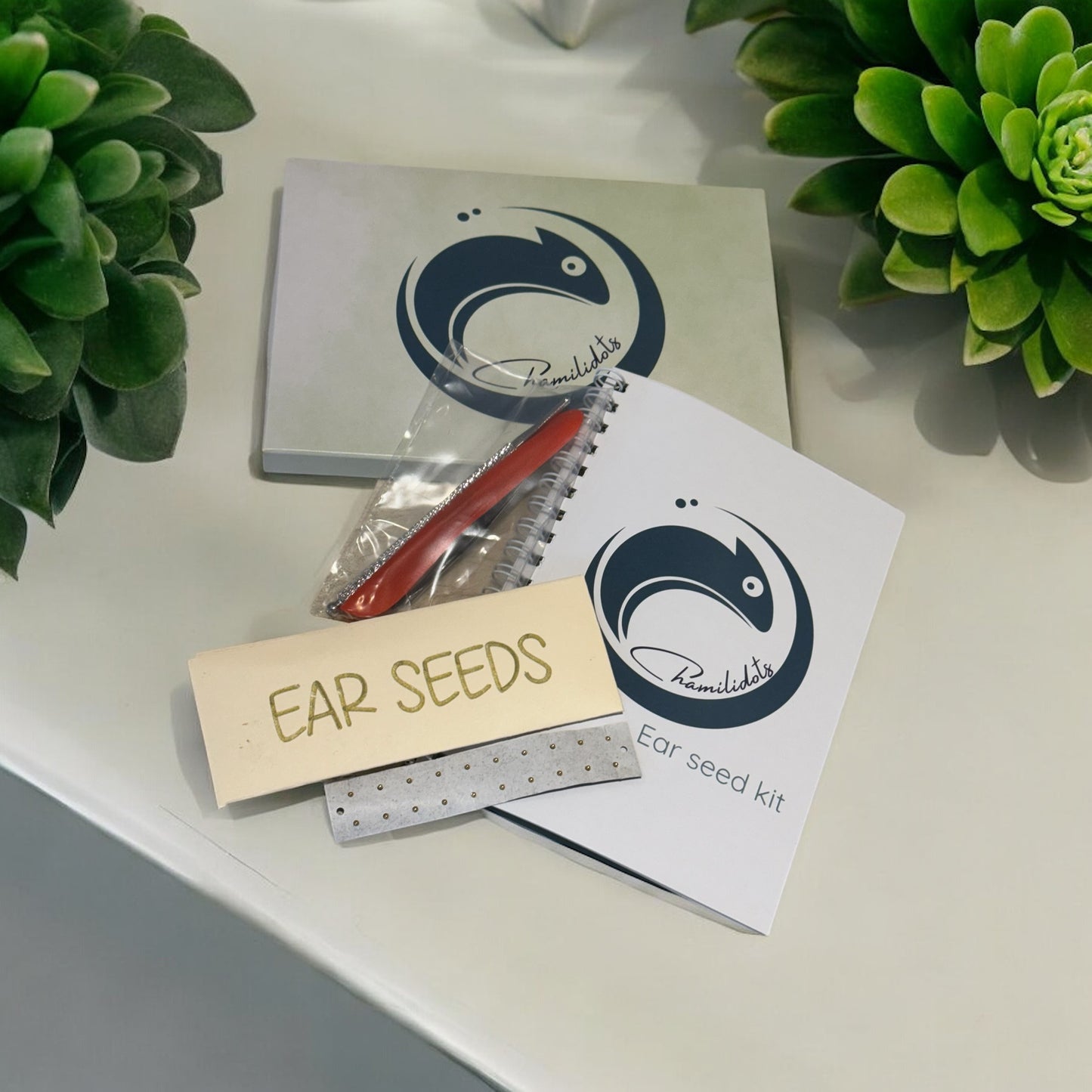 Chamilidots ear seed kits