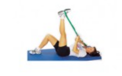 Stretching straps - length: 1.80 m